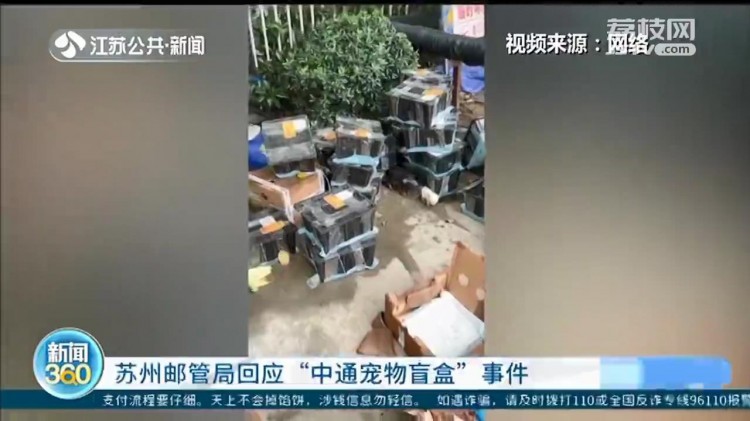 苏州邮管局回应中通宠物盲盒事件：动物已做无害化处理