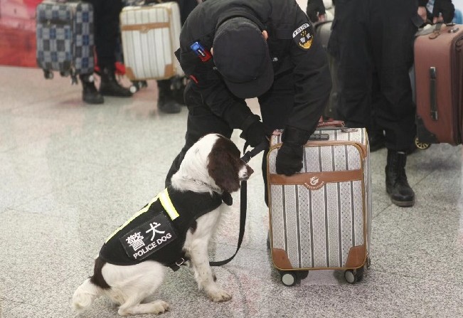 地铁里的警犬有多可爱狗子：我不想上班