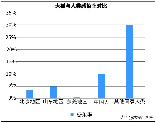 孕期养宠有多危险一篇报告告诉你