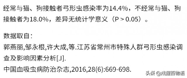 孕期养宠有多危险一篇报告告诉你